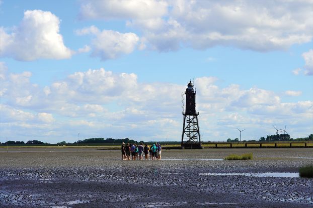 Familien-Wattwanderung in Dorum-Neufeld, © Nationalpark-Haus Wurster Nordseeküste