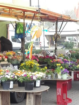 Frühling auf dem Lauenburger Wochenmarkt, © Mareike Bodendieck