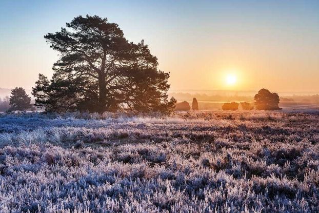 Neujahrswanderung, © Lüneburger Heide GmbH