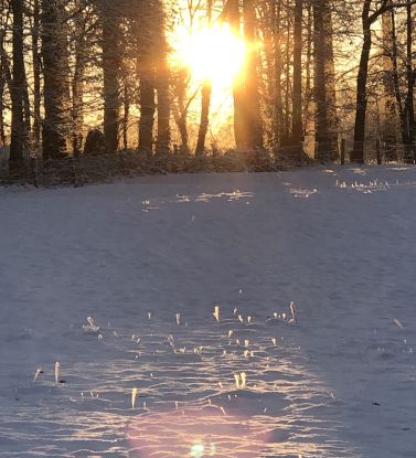 Warten auf Weihnachten - Winterspaziergang mit Weih-nachtsgeschichten, © Naturpark Aukrug e.V.