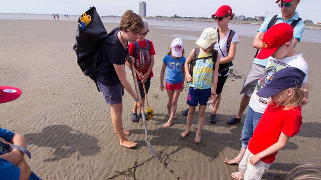 Wattwanderung in Büsum: Weltnaturerbe Wattenmeer, © TMS Büsum GmbH