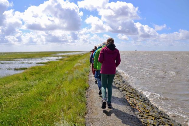 Auf dem Trischendamm durch das Weltnaturerbe Wattenmeer, © Schutzstation Wattenmeer e. V.